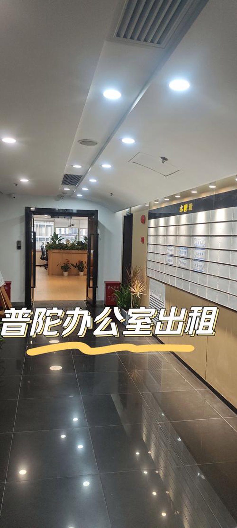企业孵化管理：构建创新生态系统的基石